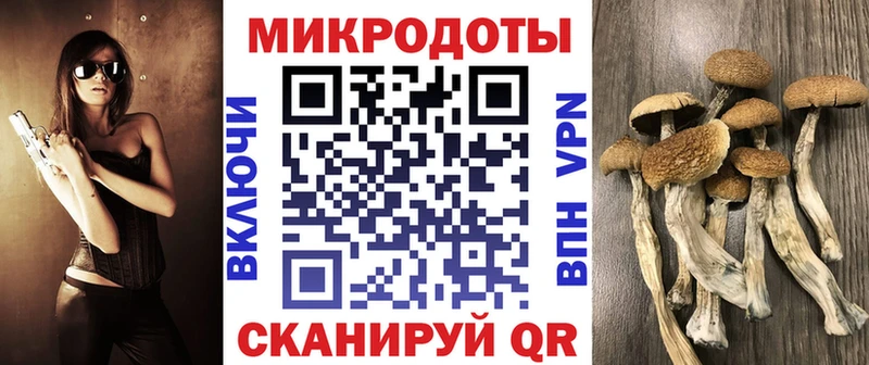 Галлюциногенные грибы ЛСД  Афипский 